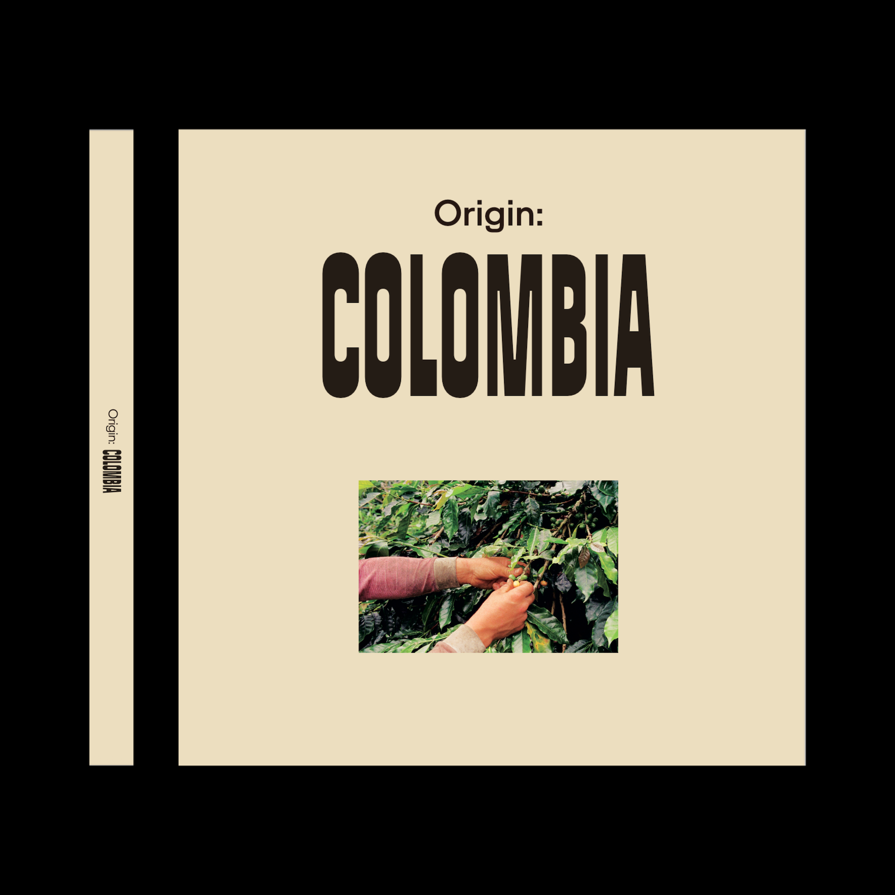 Origin: Colombia - Photo Zine – Bold Bean Coffee Roasters