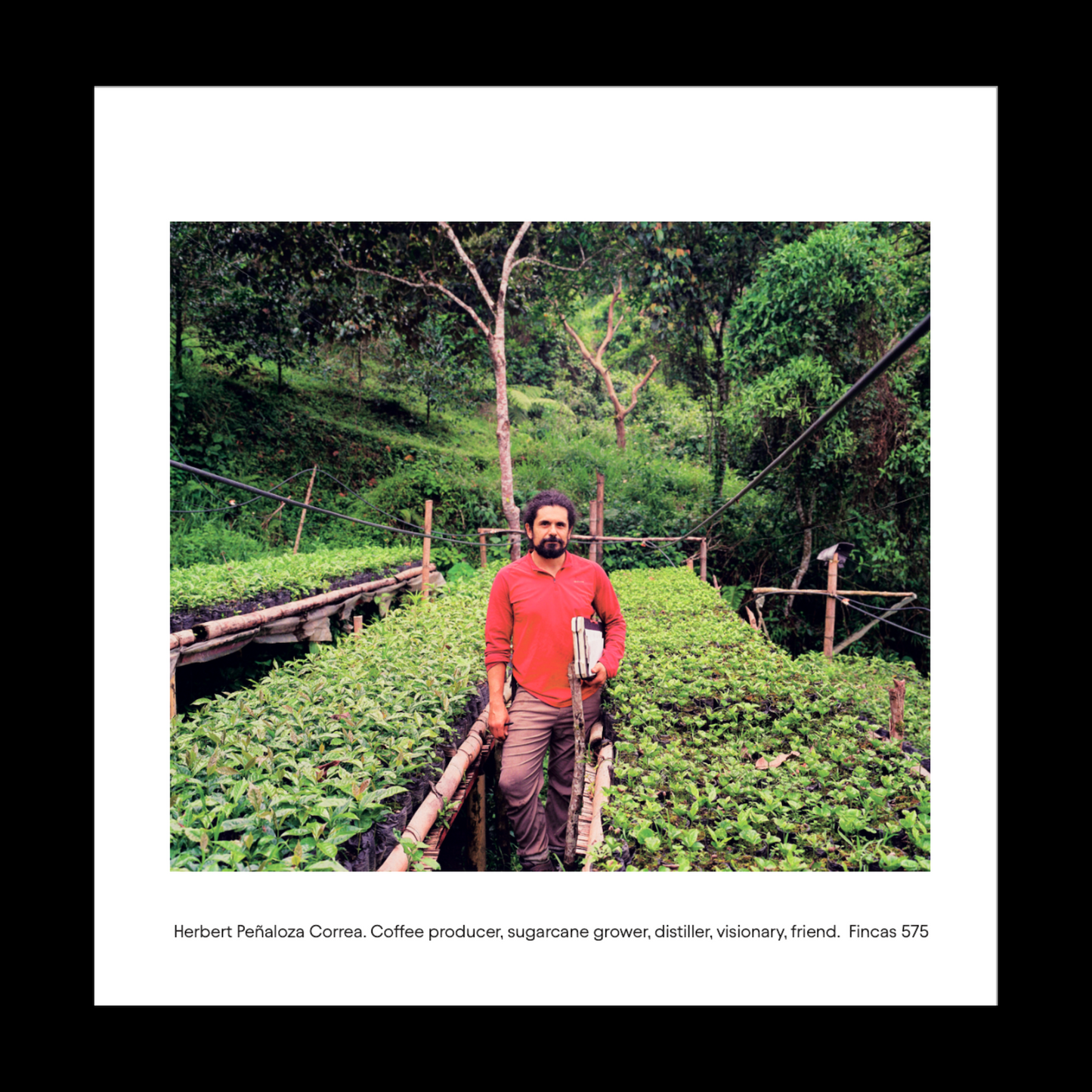 Origin: Colombia - Photo Zine