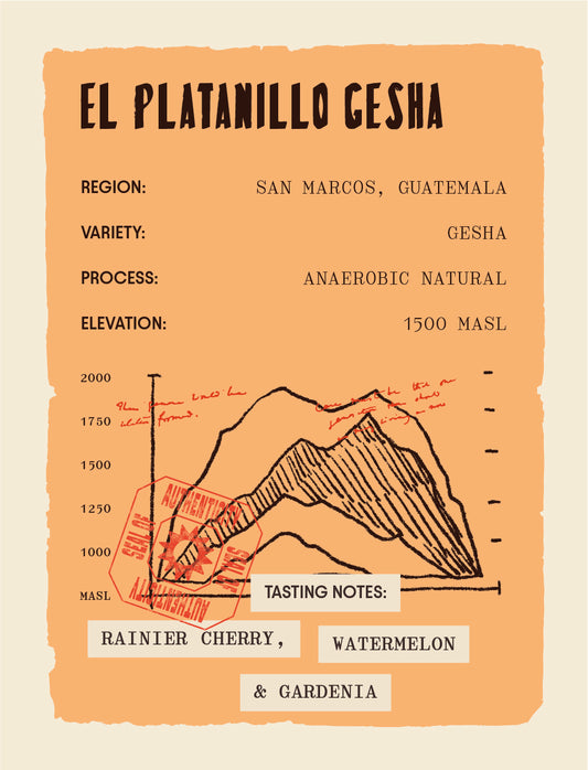 Guatemala - El Platanillo - Anaerobic Natural Gesha