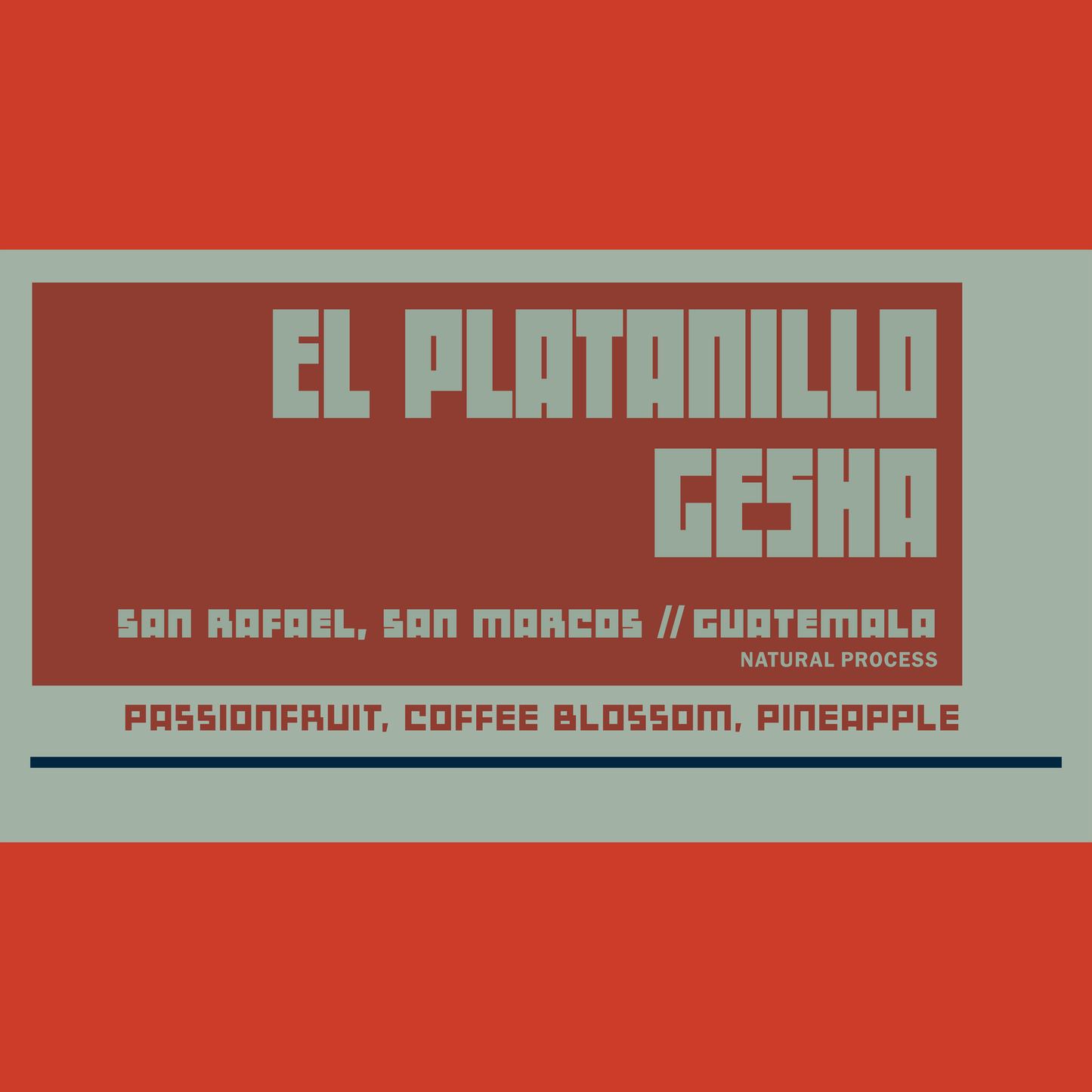 Guatemala El Platanillo Gesha - Natural Process