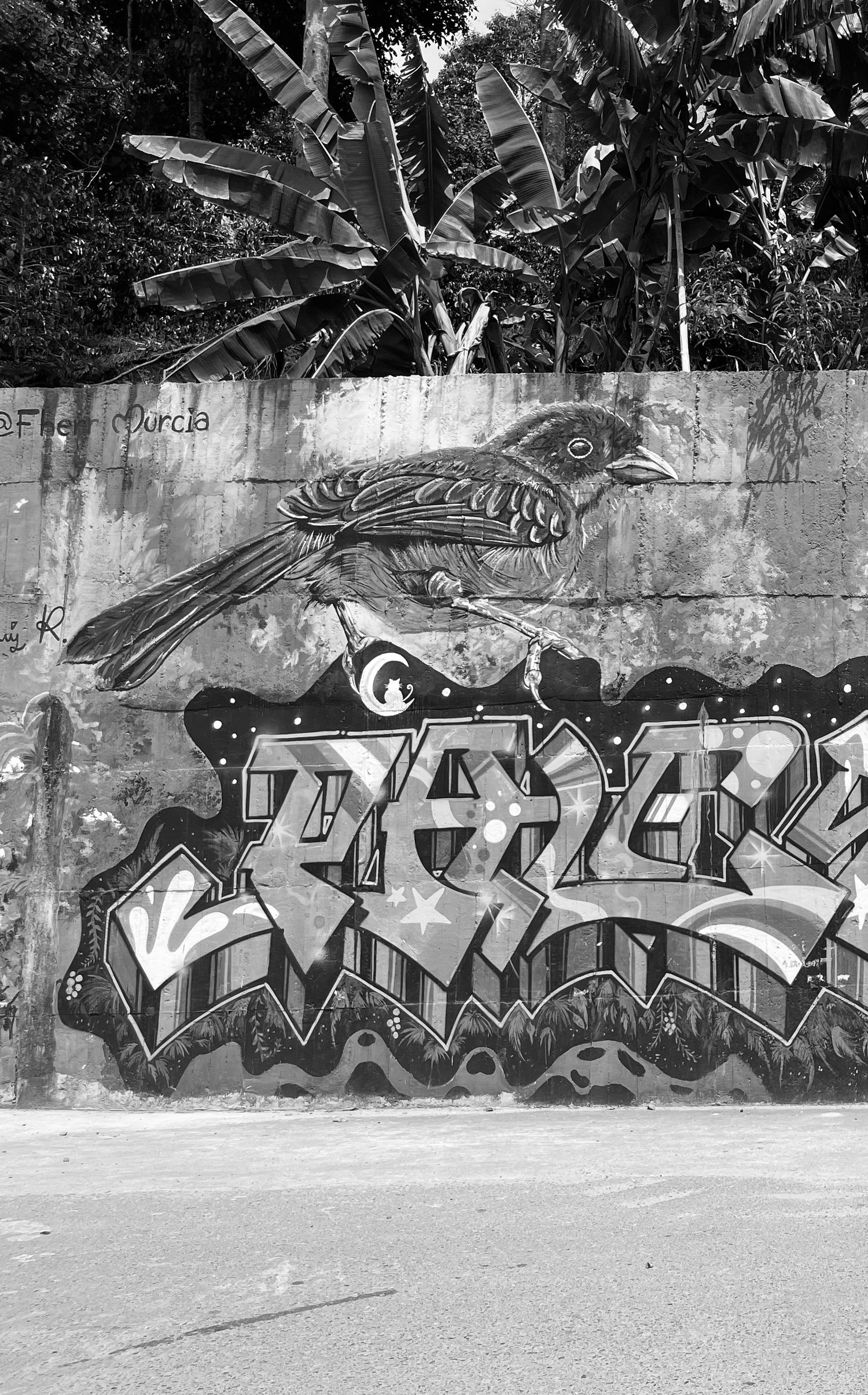 Image of graffiti wall in Colombia