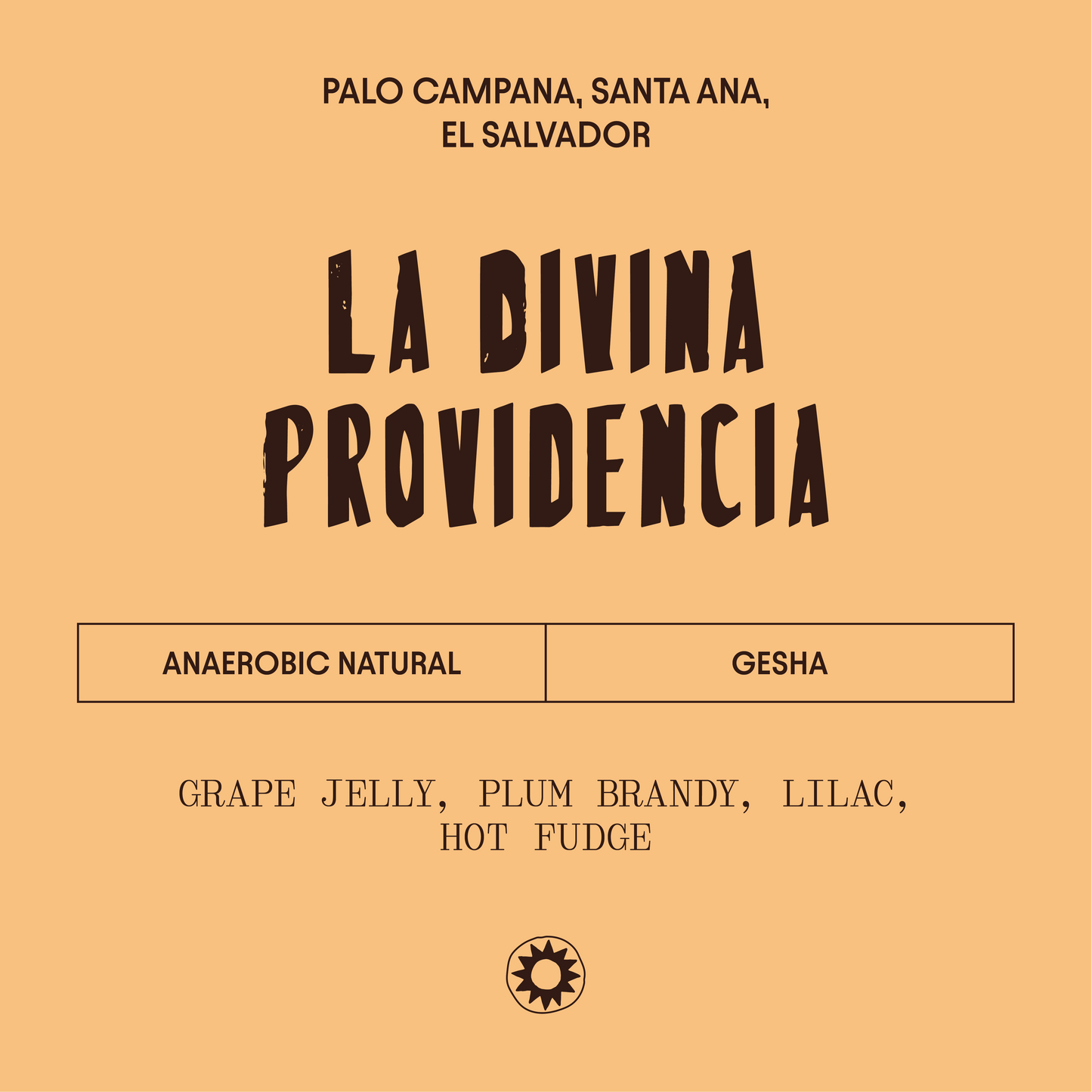 El Salvador - La Divina Providencia - Anaerobic Gesha