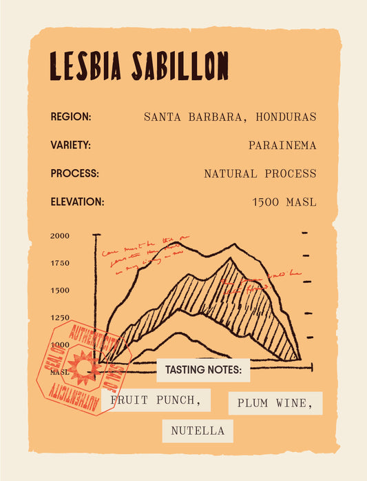 Honduras - Lesbia Sabillon Natural Process