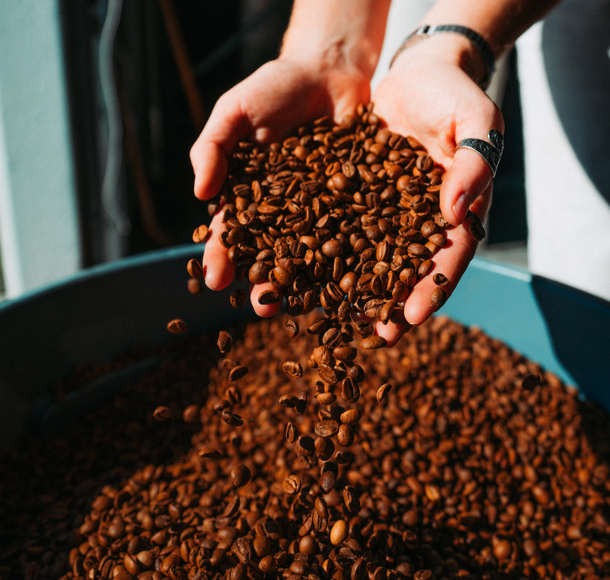 Image of coffee being held and dropped into a bucket