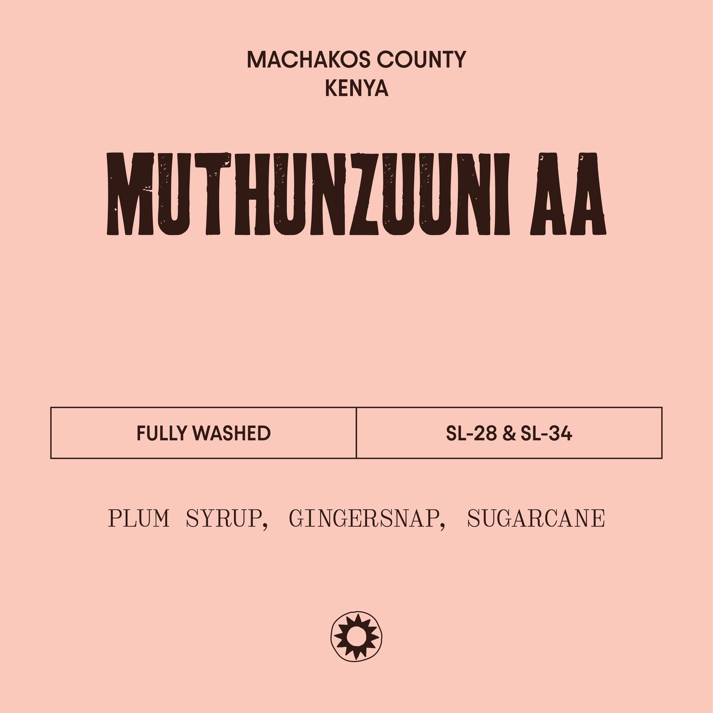 Kenya - Muthunzuuni AA