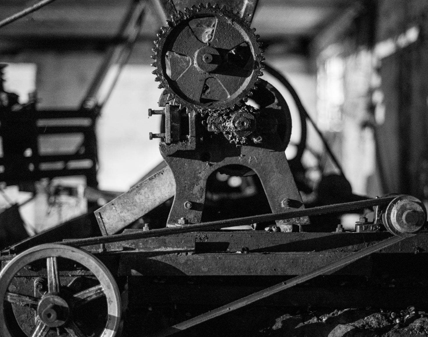 image of coffee depulper