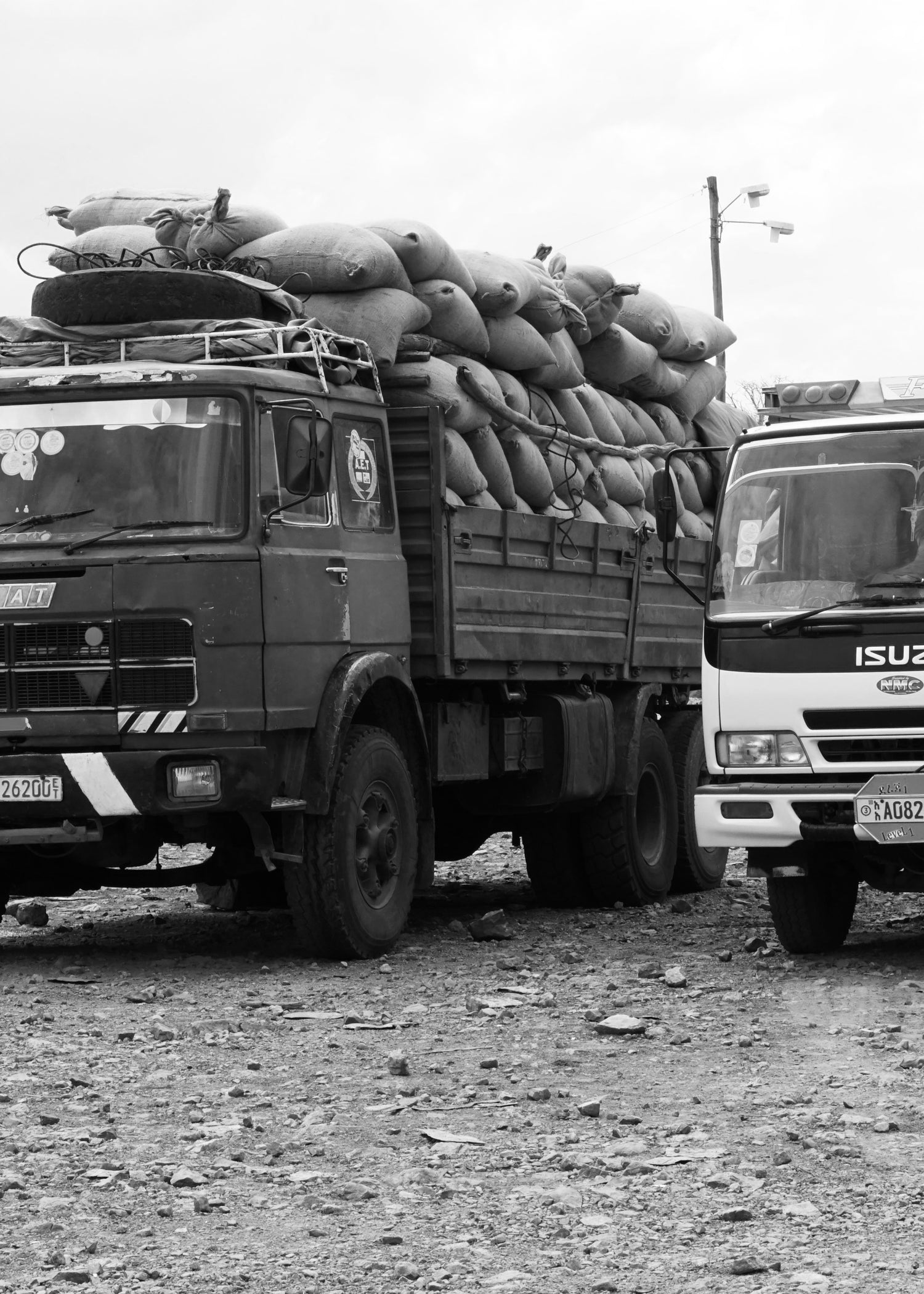image of trucks full of bags of coffee