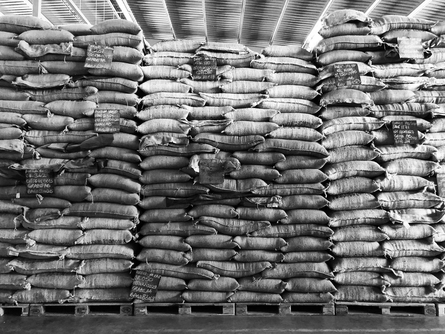 bags of green coffee stacked in a warehouse