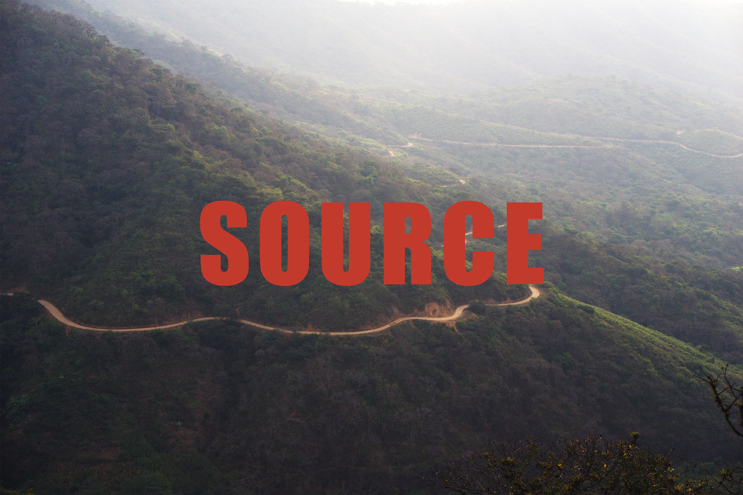 "SOURCE" In bold text
