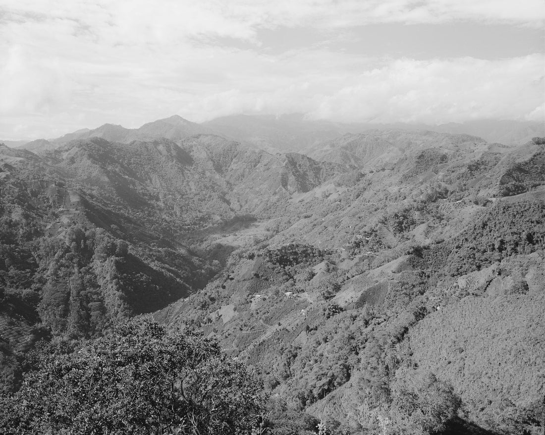 Colombia: Coffee, Mountains, and the Work of Returning