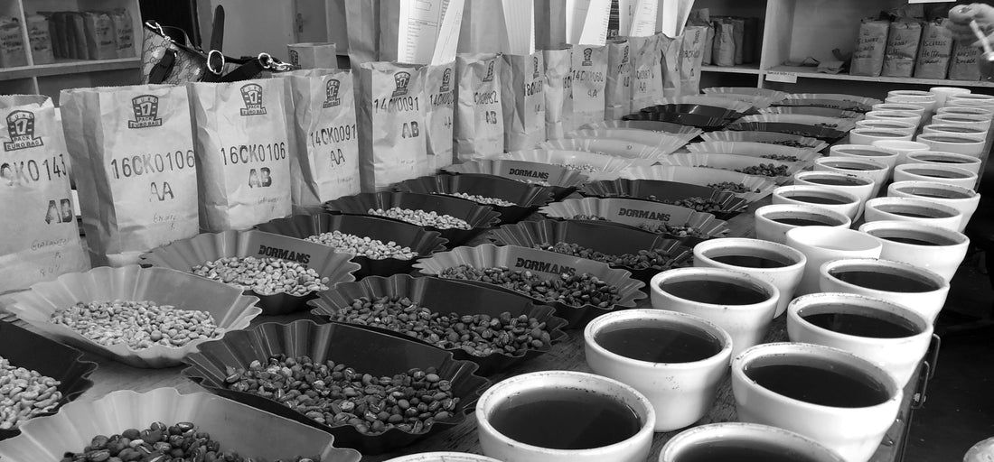 Understanding Coffee Notes: How to Read, Taste, and Describe What’s in Your Cup