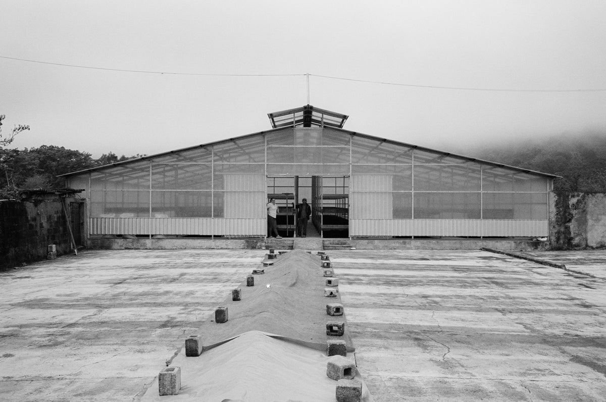 A large coffee drying room, photographed from a distance on a cloudy day. A paved courtyard leads up the center toward the open front doors, with a small mound of material in the foreground.