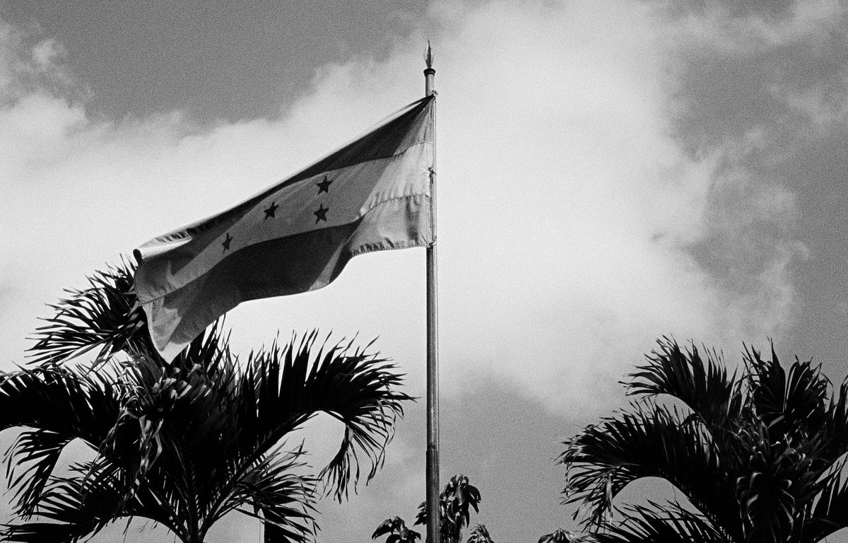 A black and white photograph of the flag of Honduras waving on a flagpole, with palm tree silhouettes in the foreground and a cloudy sky behind.