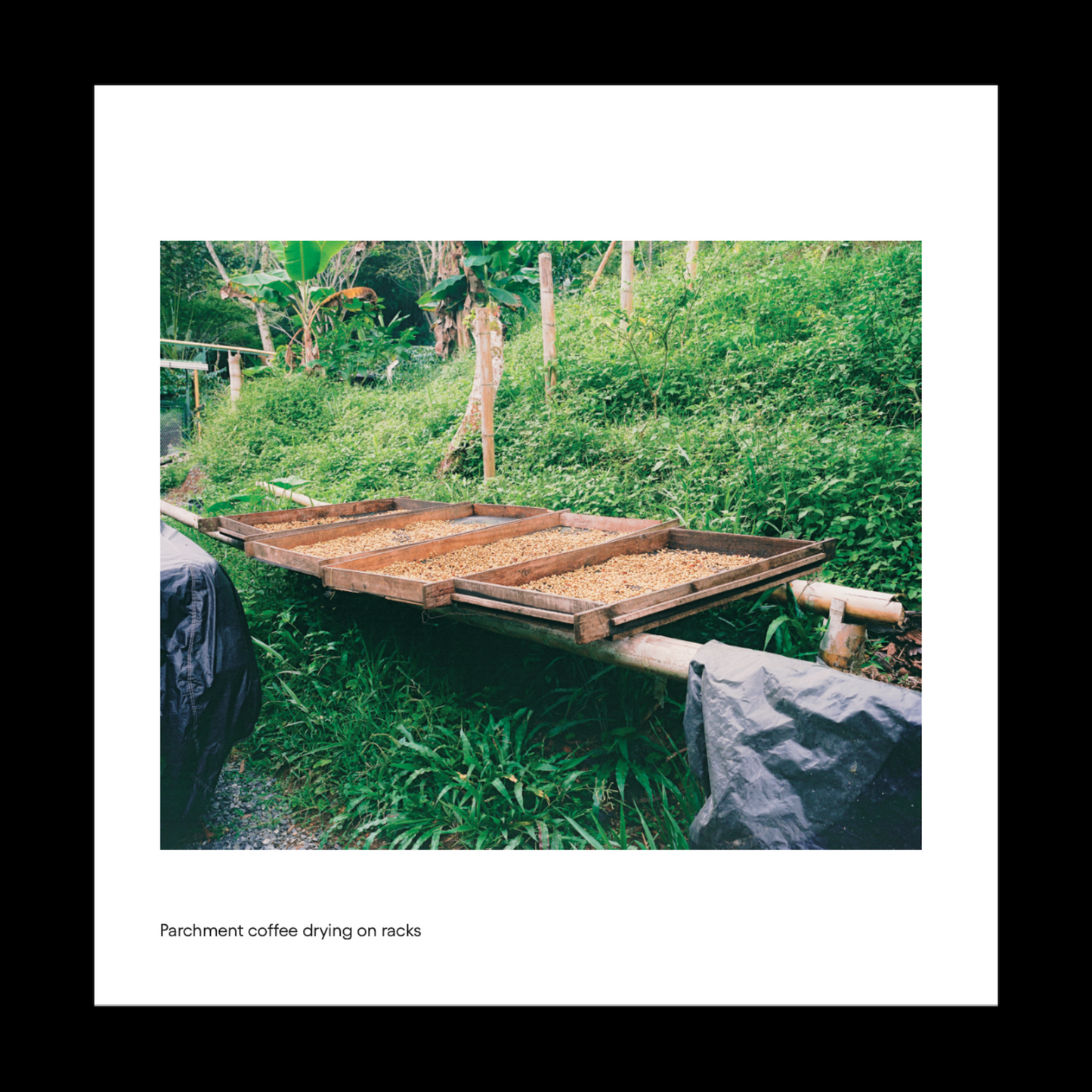 Origin: Colombia - Photo Zine