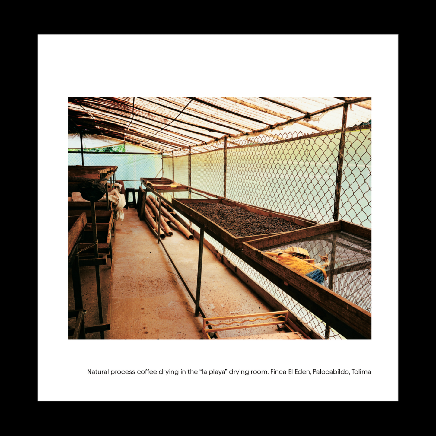 Origin: Colombia - Photo Zine
