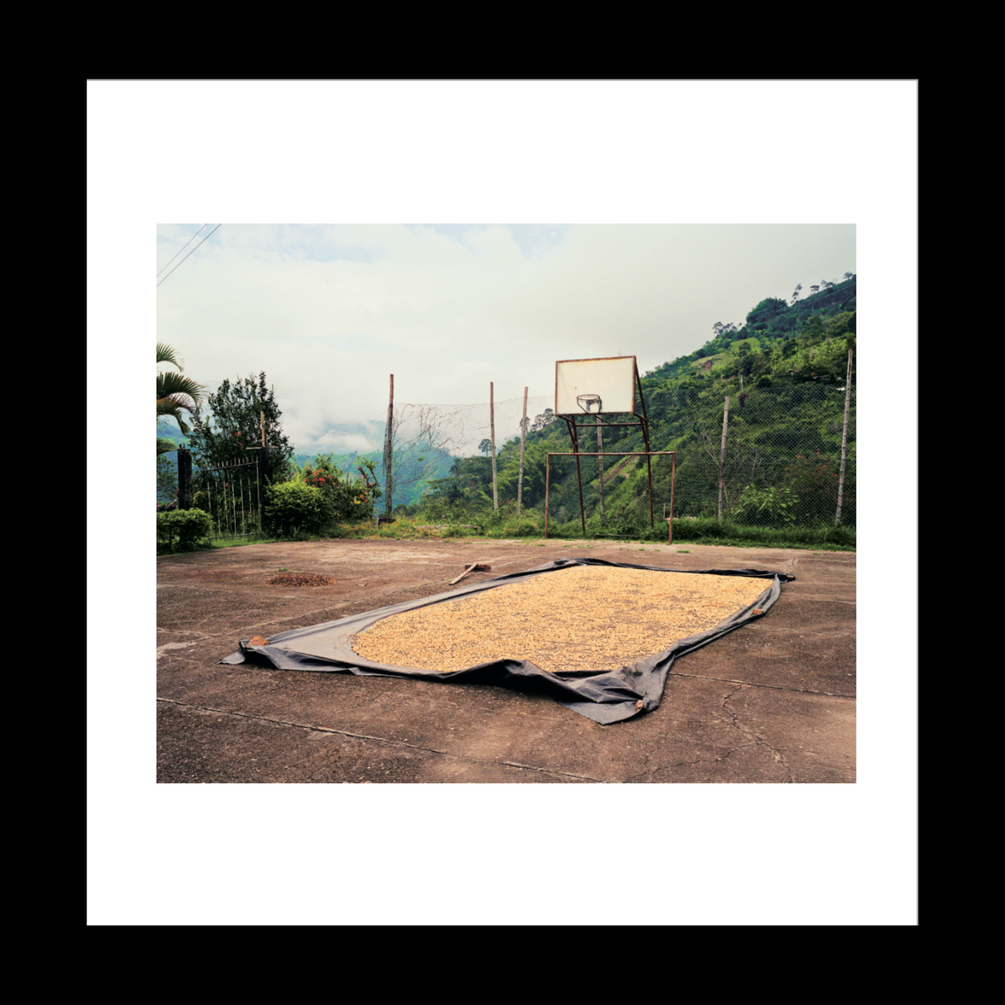 Origin: Colombia - Photo Zine