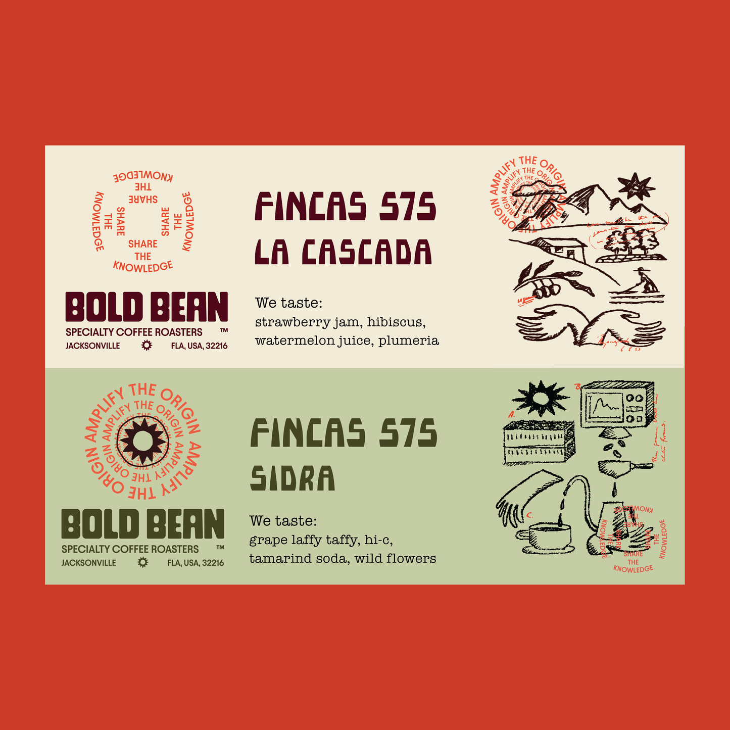 Colombia - Fincas 575 - Two-Pack