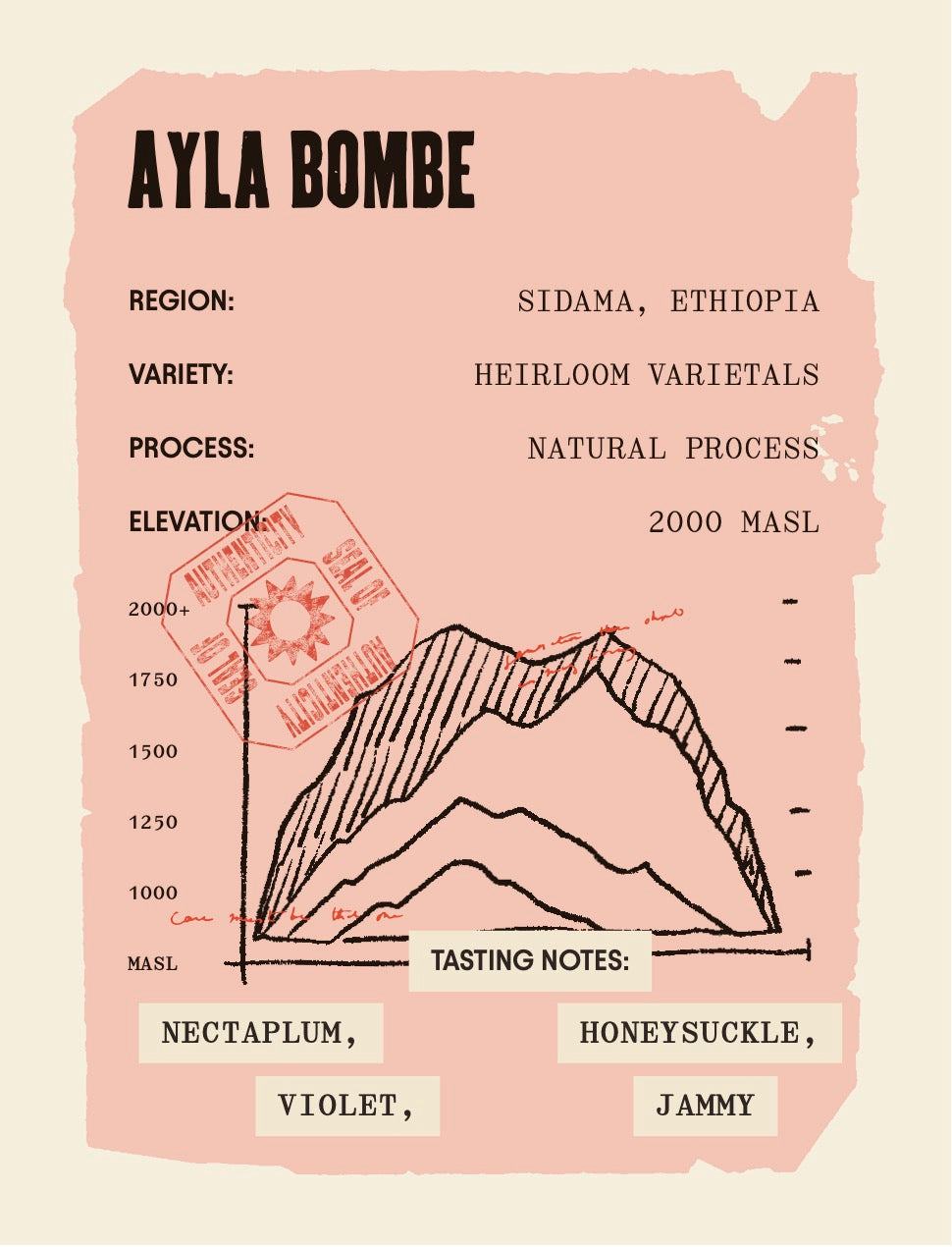 Ethiopia Ayla Bombe - Natural Process