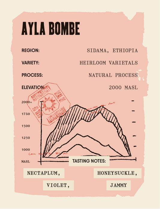 Ethiopia Ayla Bombe - Natural Process