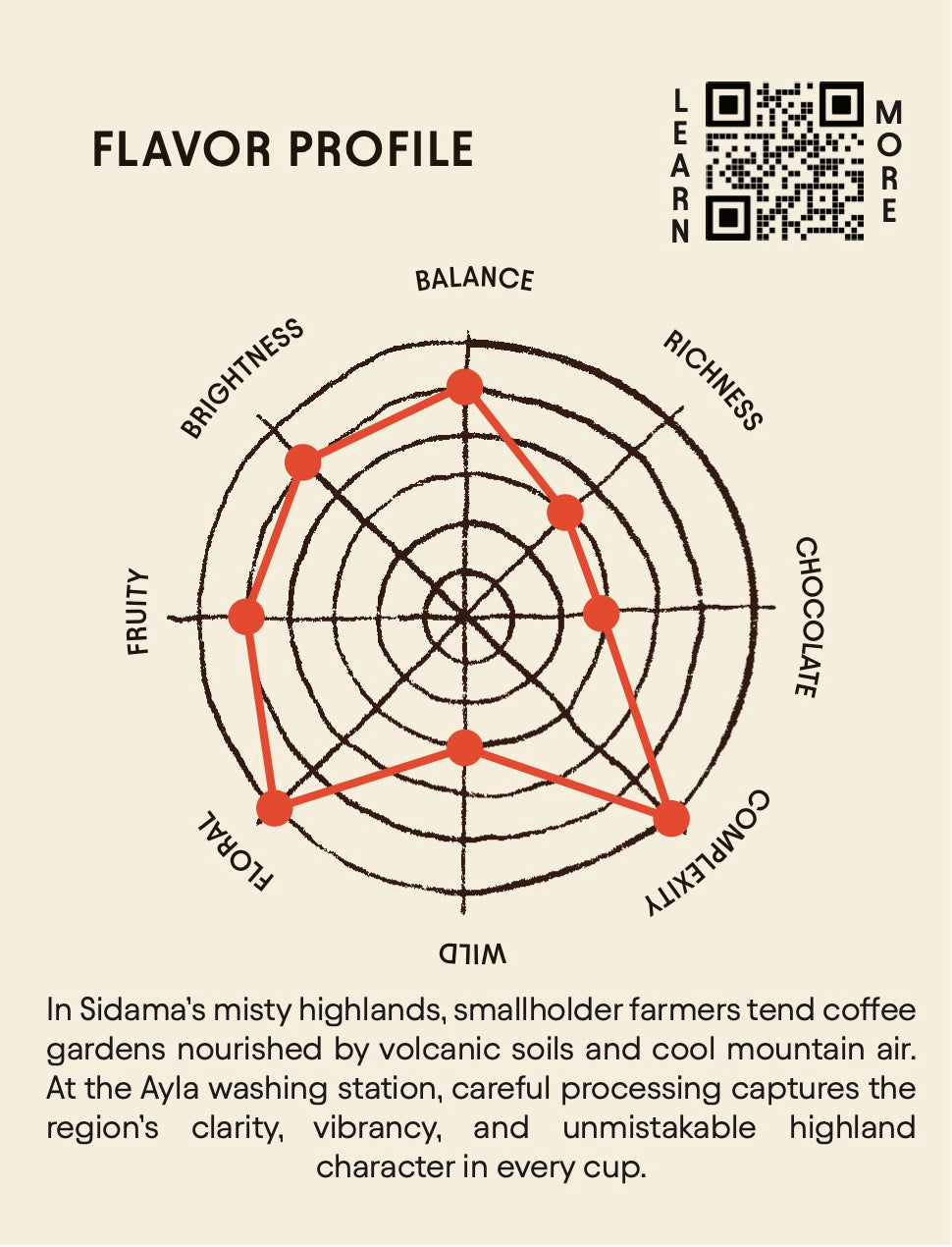 Ethiopia Ayla Bombe - Washed Process