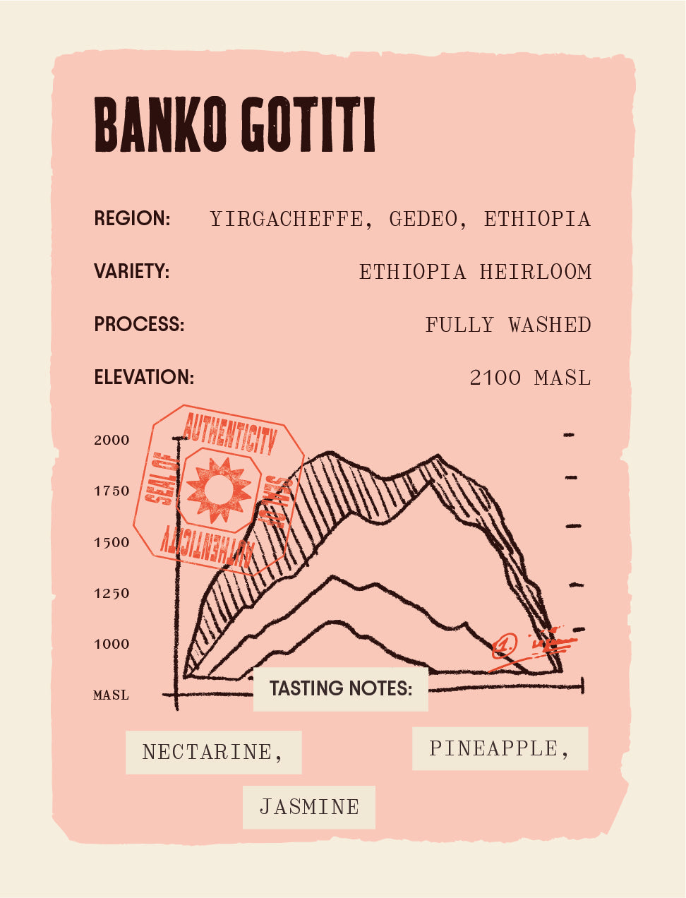 Ethiopia - Banko Gotiti - Washed Process