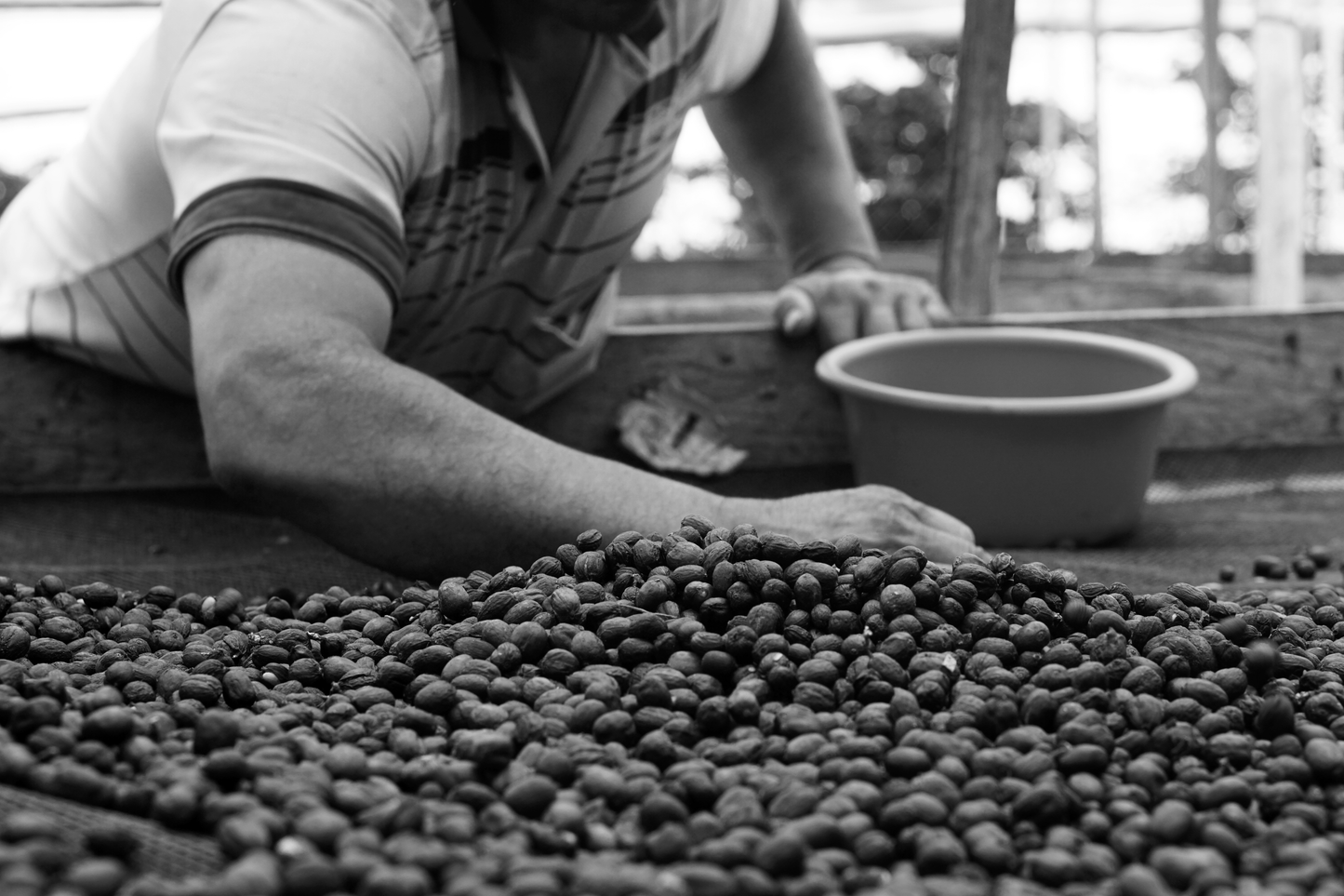 Colombia - Fincas 575 - Two-Pack