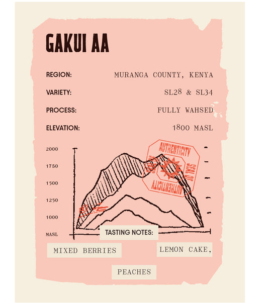 Kenya - Gakui AA