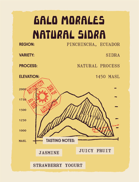 Ecuador - Galo Morales - Natural Sidra