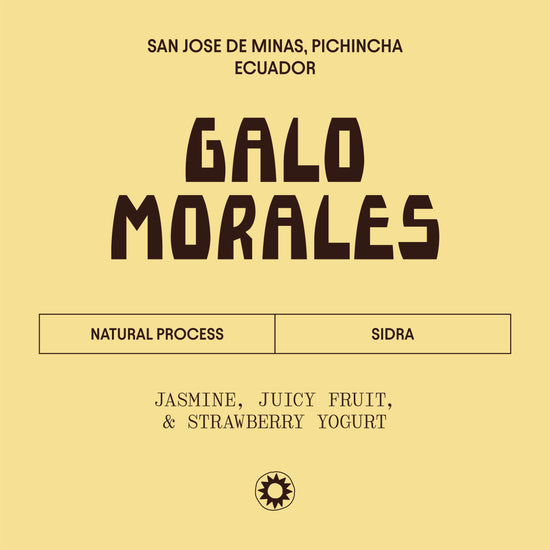 Galo Morales wine label with text on a yellow background