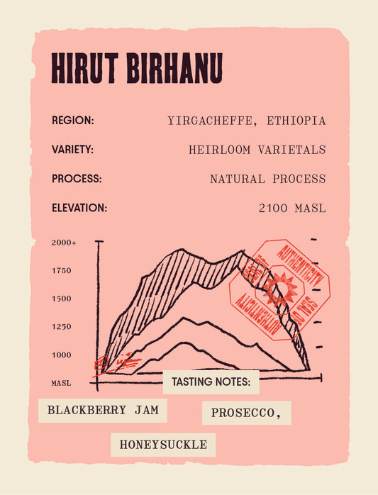 Ethiopia - Hirut Birhanu - Natural Process