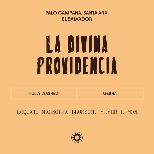El Salvador - La Divina Providencia - Washed Gesha