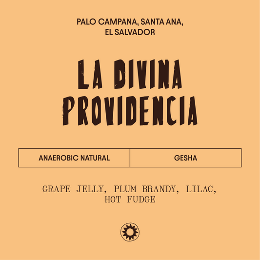 El Salvador - La Divina Providencia - Anaerobic Gesha