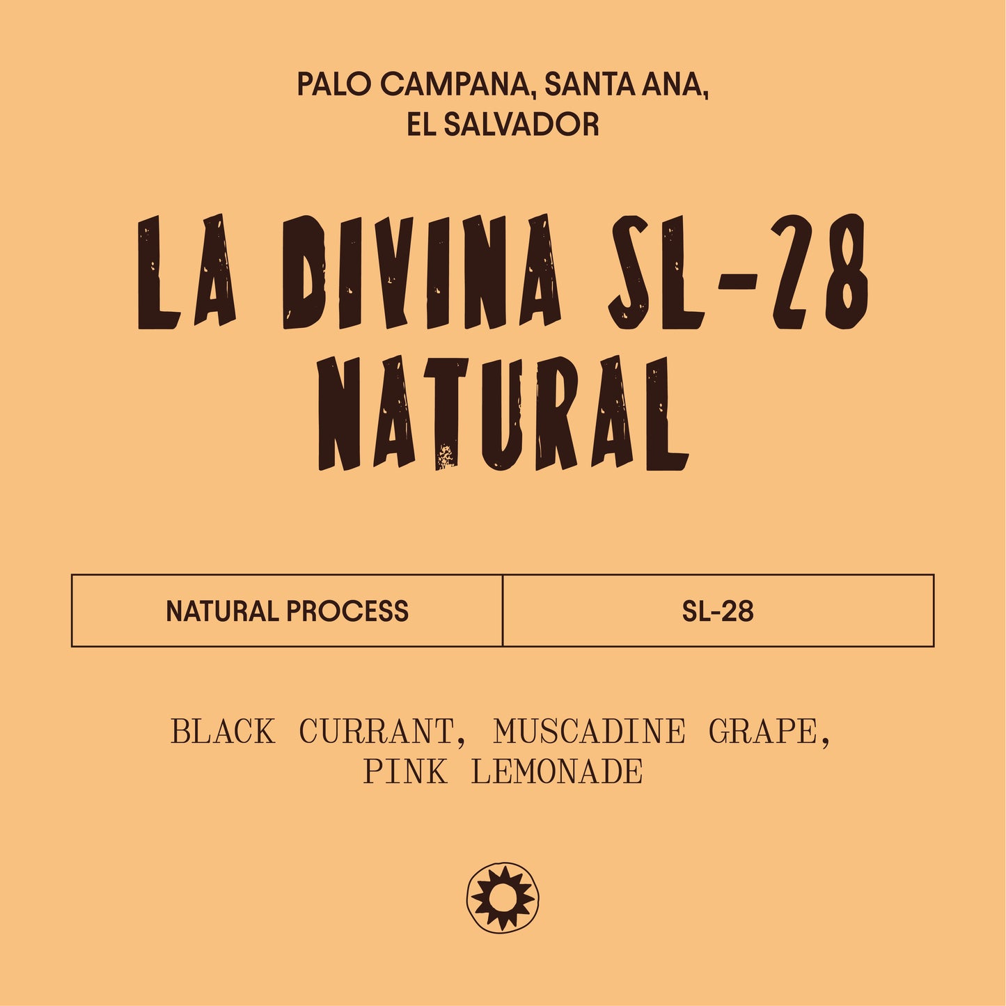 El Salvador - La Divina Providencia SL-28 - Natural Process