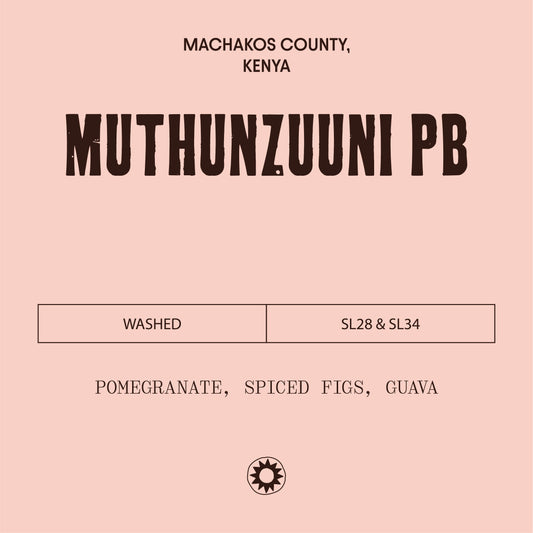 Kenya - Muthunzuuni Peaberry