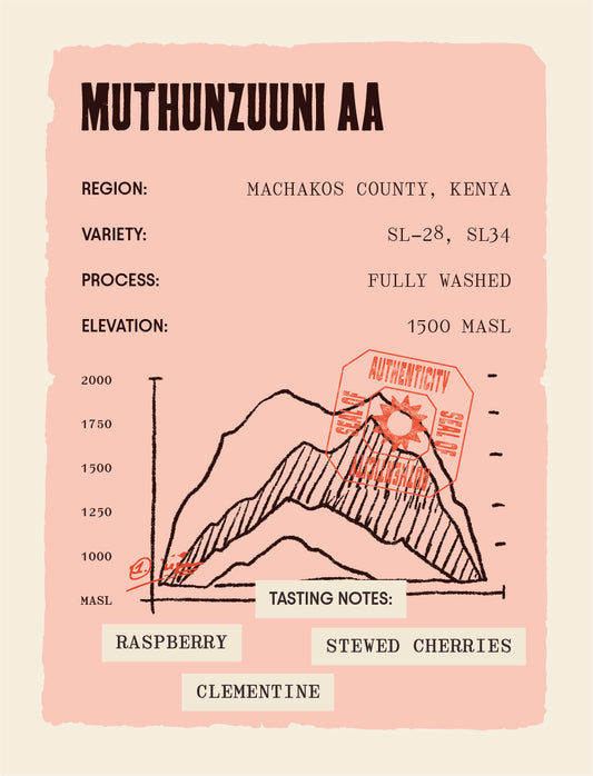 Coffee label for Muthunzuuni AA with mountain graphic and tasting notes on a pink background