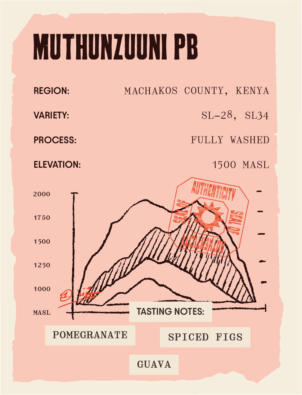 Kenya - Muthunzuuni Peaberry