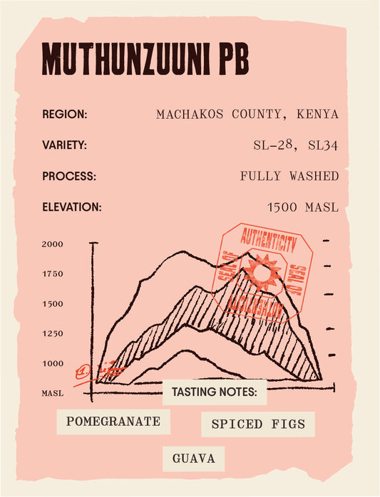 Kenya - Muthunzuuni Peaberry