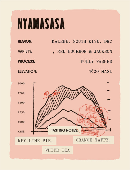 Democratic Republic of Congo - Nyamasasa
