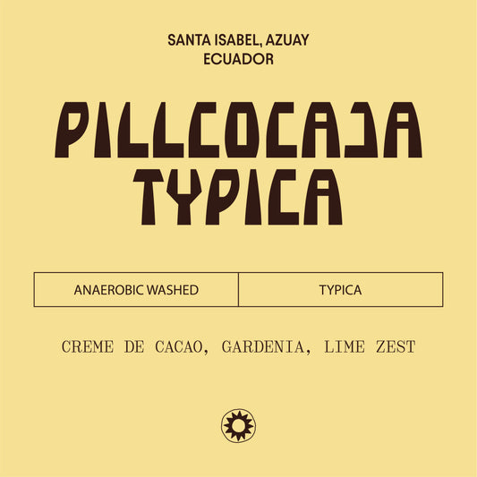 Ecuador - Pillcocaja - Typica Mejorado