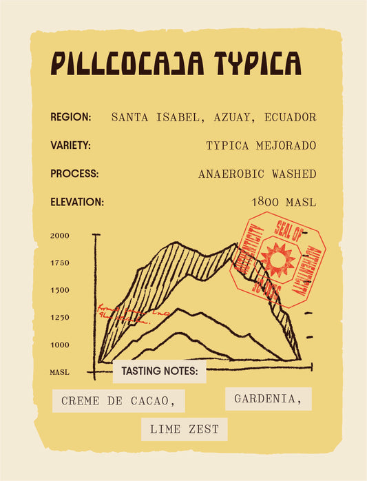 Ecuador - Pillcocaja - Typica Mejorado