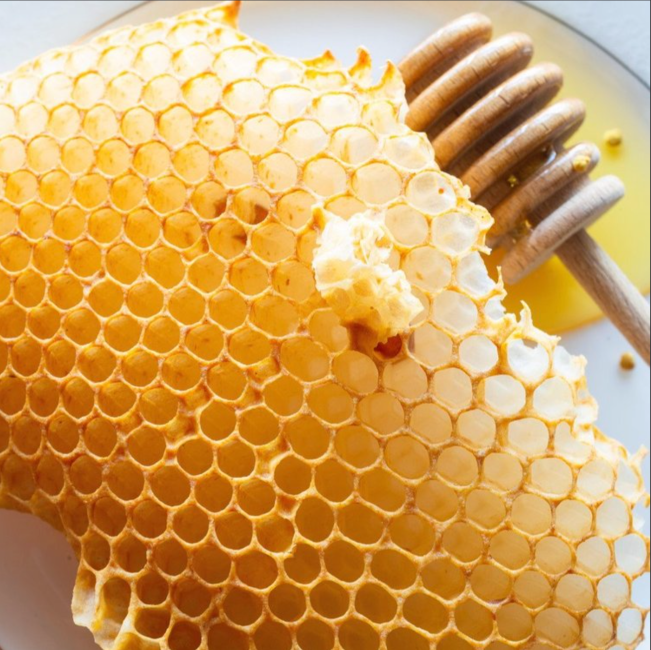 Stock image of honey 