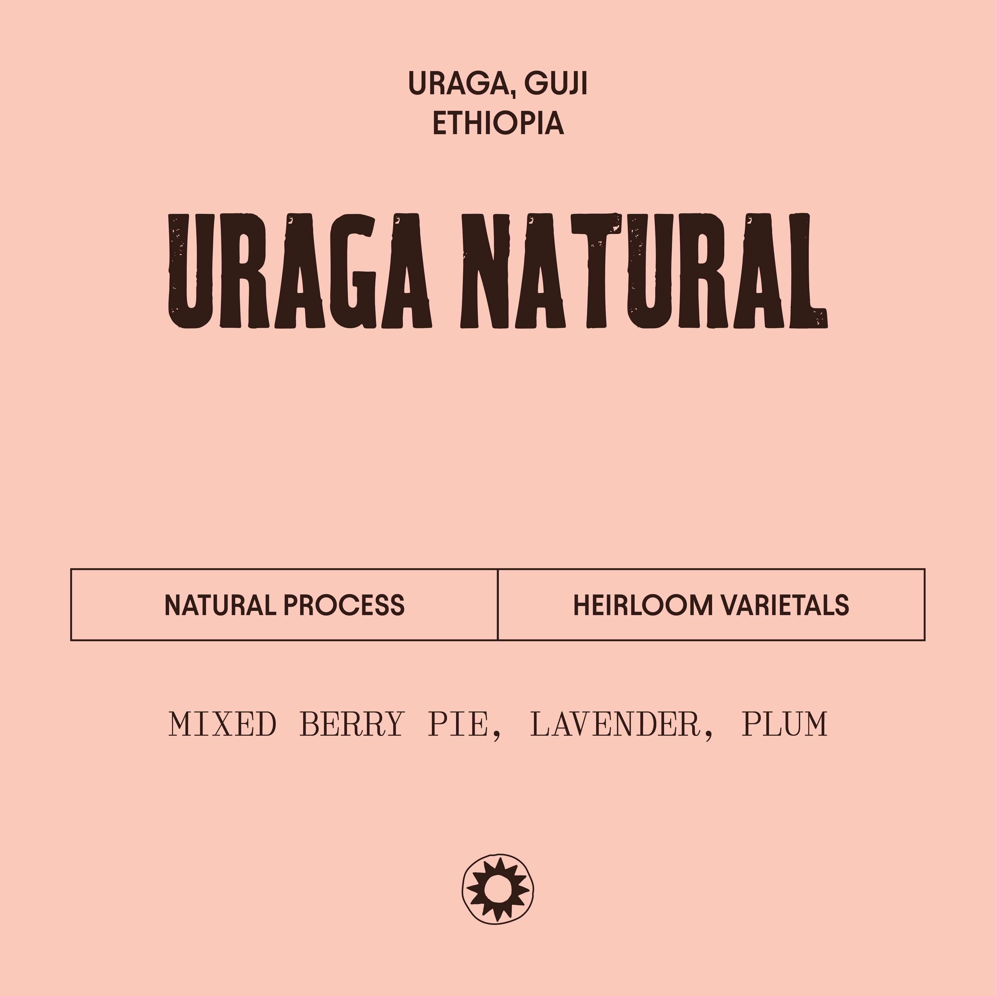 Uraga Natural coffee label with process and flavor description on a pink background