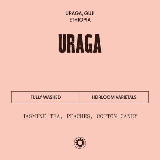 Ethiopia - Guji Uraga Washed