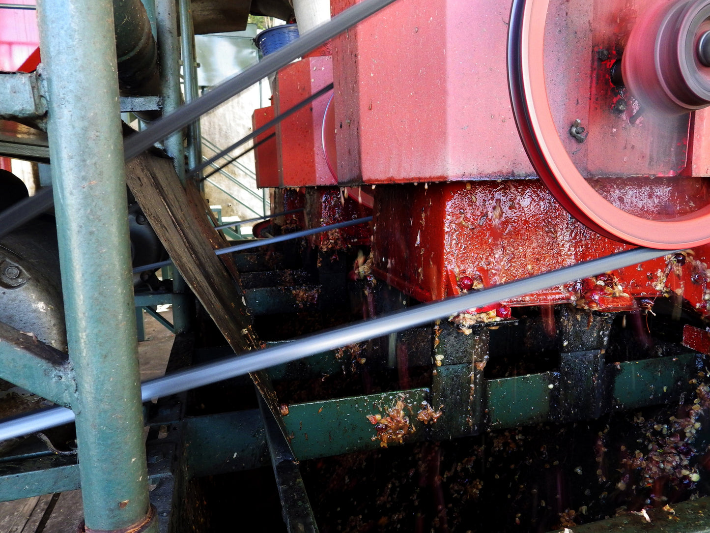 Image of of coffee machinery at work