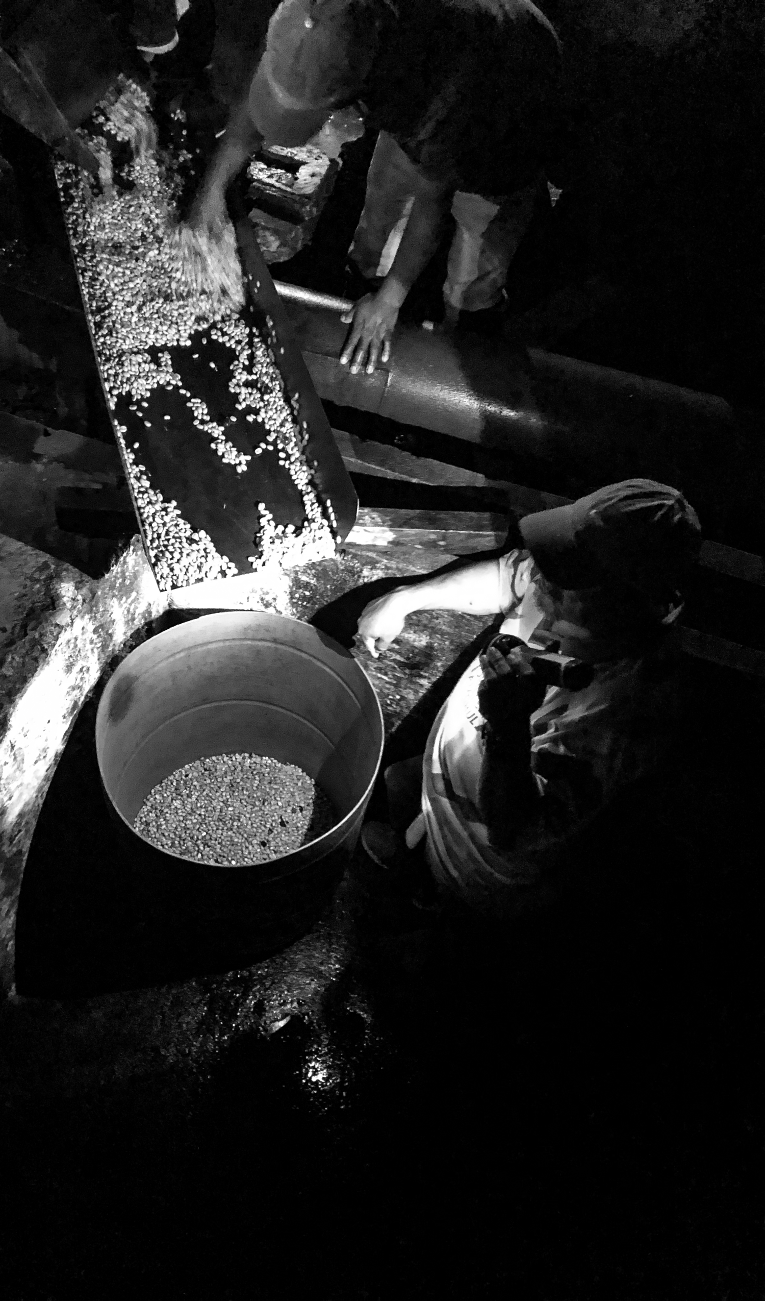 photo of coffee being processed at night