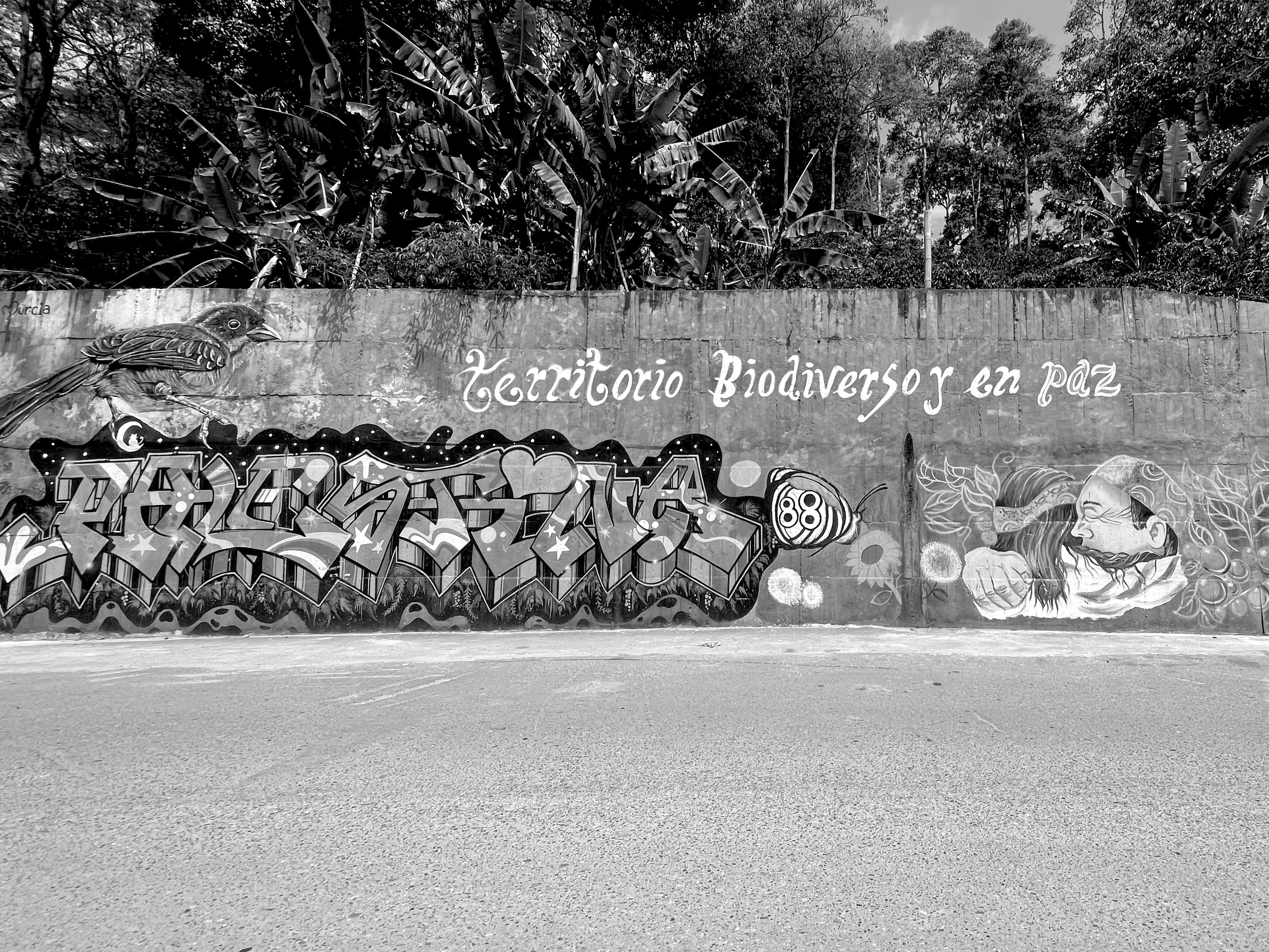 Graffiti on a wall with text and artistic elements, set against a natural background.
