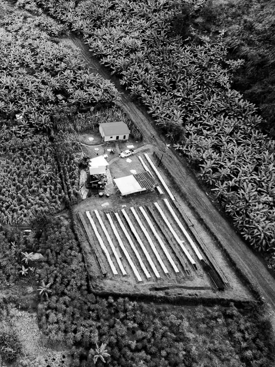 photo of Rwandan coffee processing facility from above
